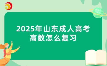 2025年山東成人高考高數怎么復習